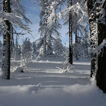 16 Pers Proche Des Pistes Chalet *