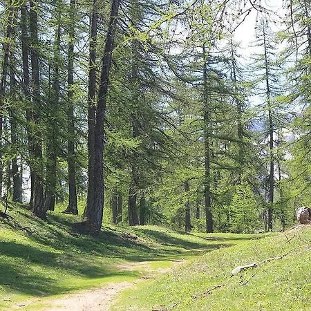 Chalet 16 Pers Proche Des Pistes Vallouise